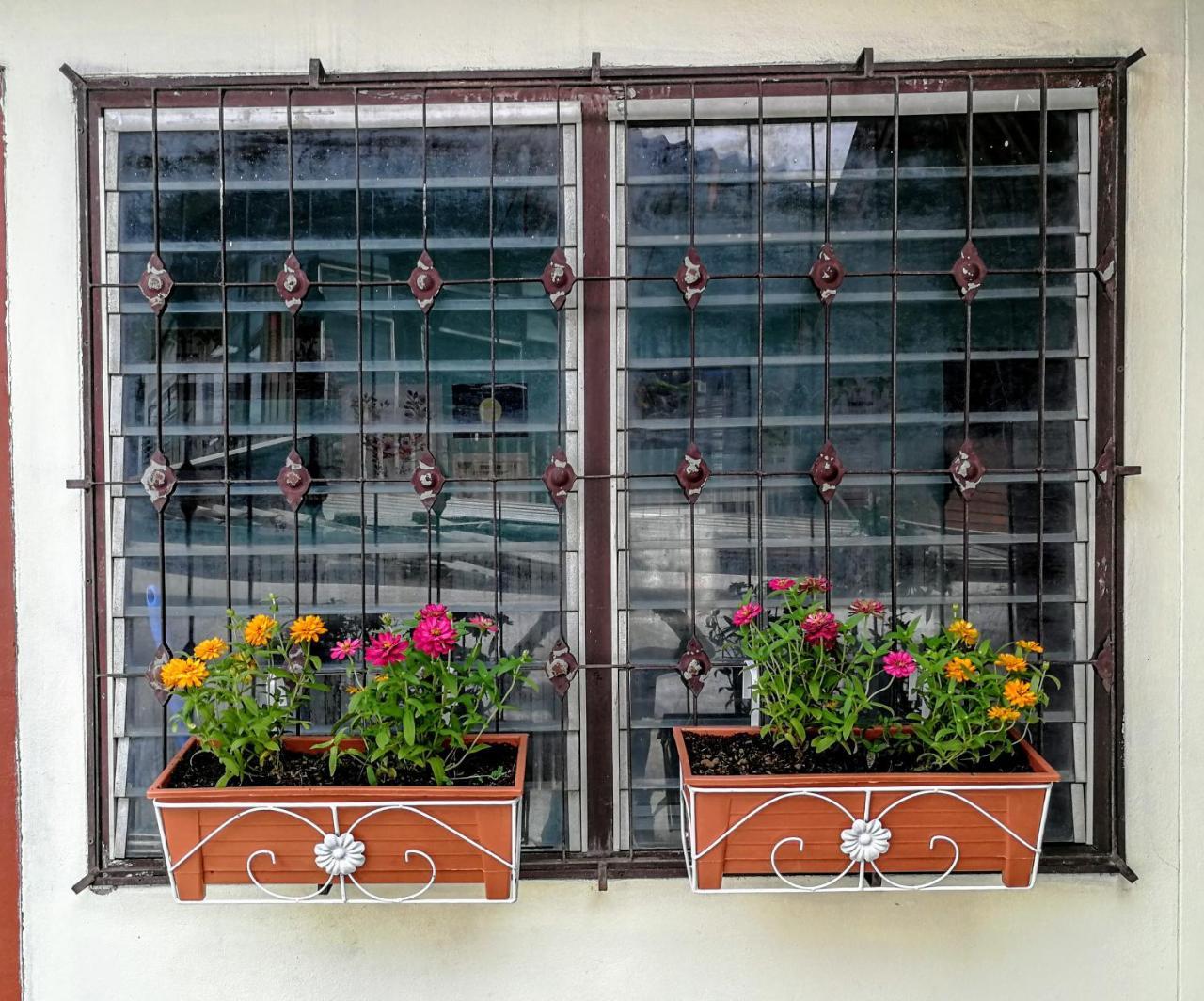 Champion Hostel 2 (Adults Only) شيانغ ماي المظهر الخارجي الصورة